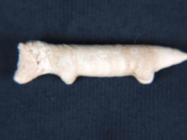 Very Rare Anasazi Stone Dog Fetish